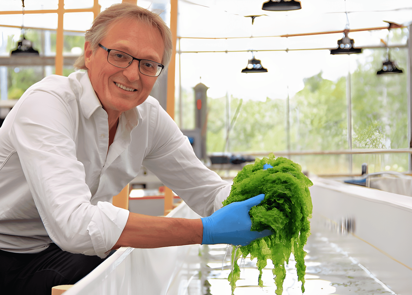 A man holding a large handfull of seaweed.