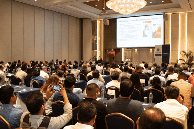 A person addressing a large audience.