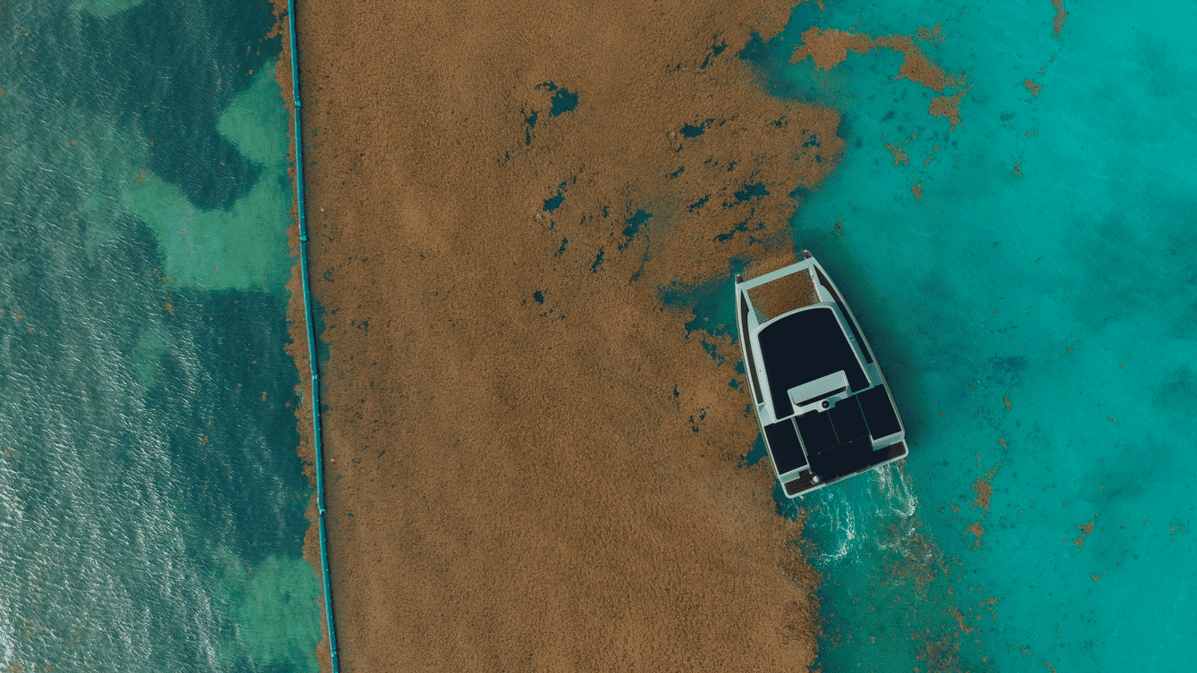 Aerial view of an autonomous vessel harvesting seaweed.