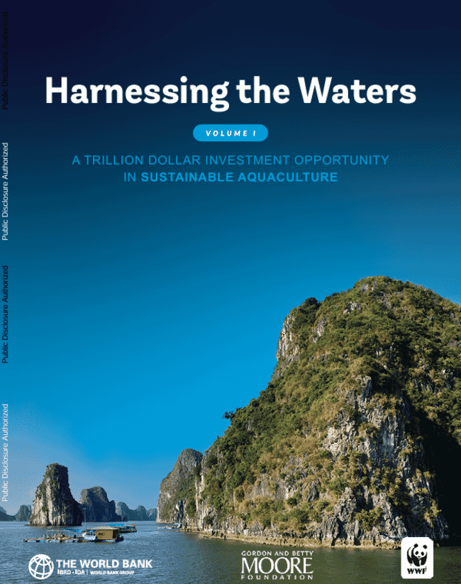 The cover of a report