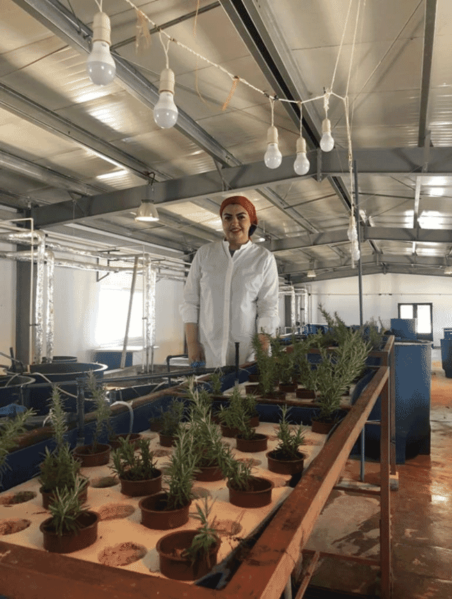Yasmin Abdullah in an aquaponics unit
